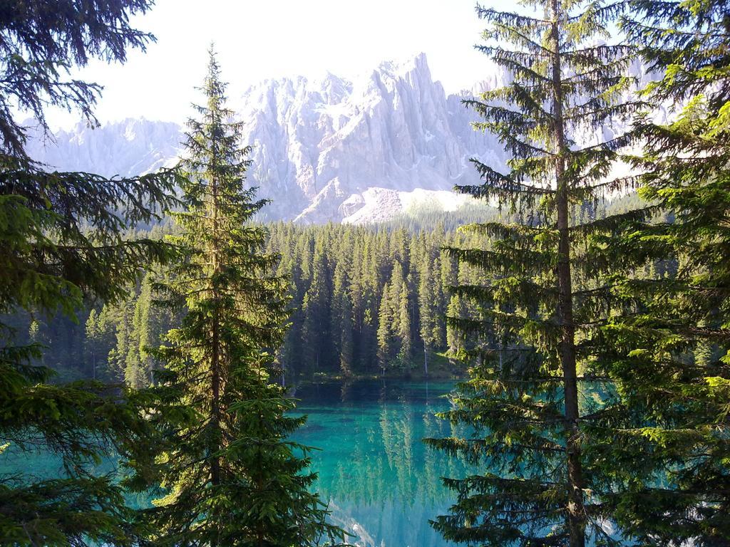 Park Hotel Aurora Pozza di Fassa Esterno foto